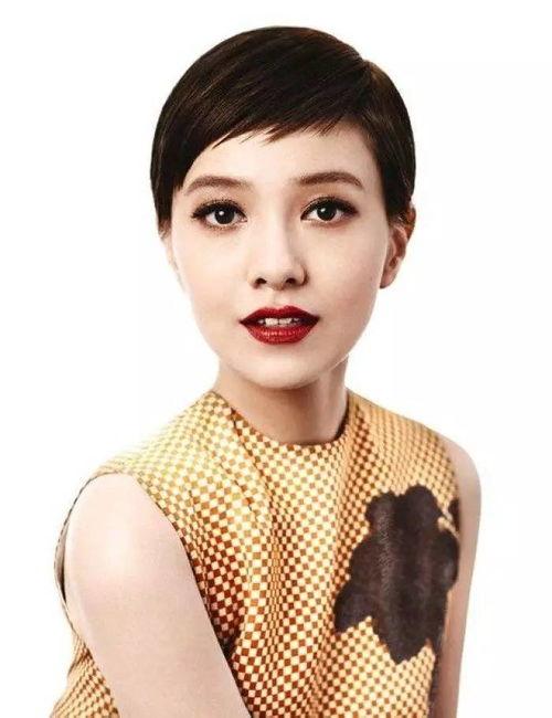 明星有,璀璨星途背后的故事与传奇