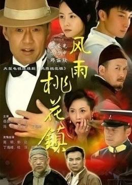 风雨桃花镇演员表